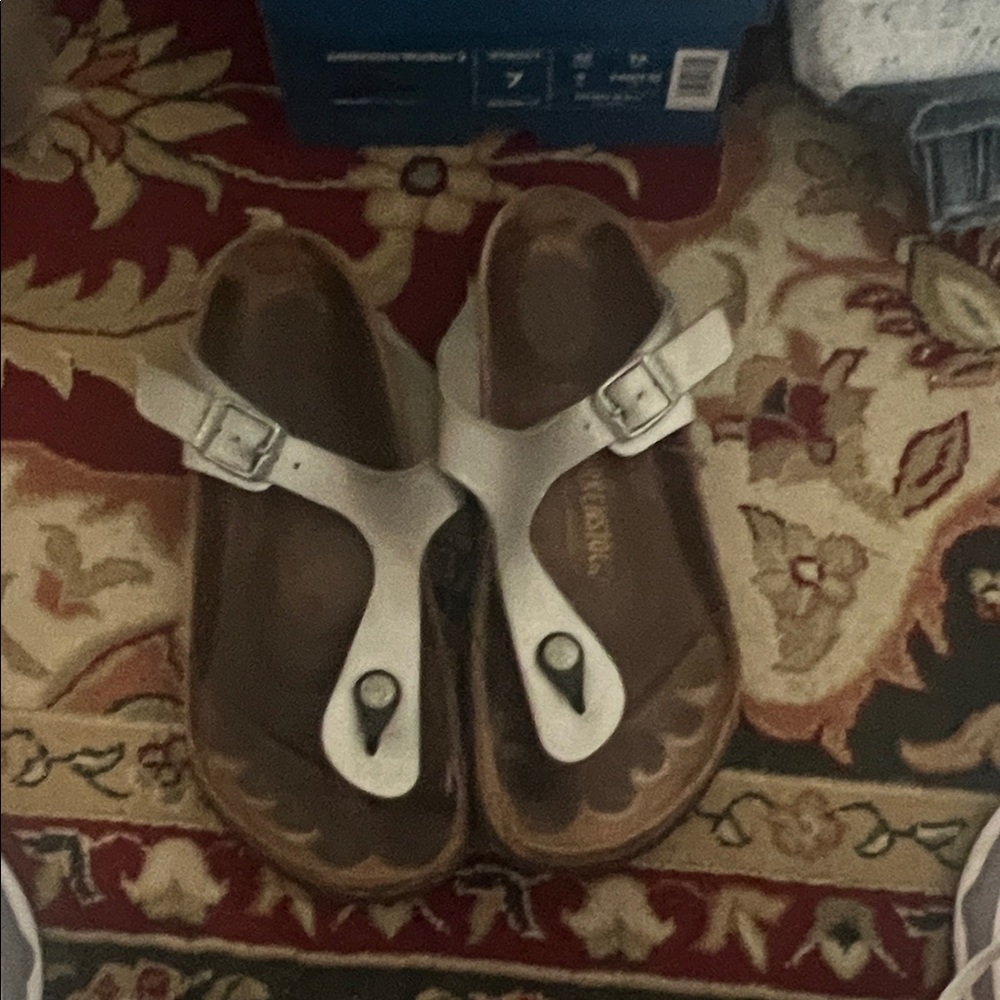 Birkenstocks silver Gizah Sandals